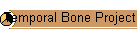 Temporal Bone Project