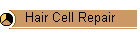 Hair Cell Repair